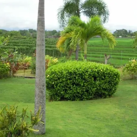 Bali Japan Village