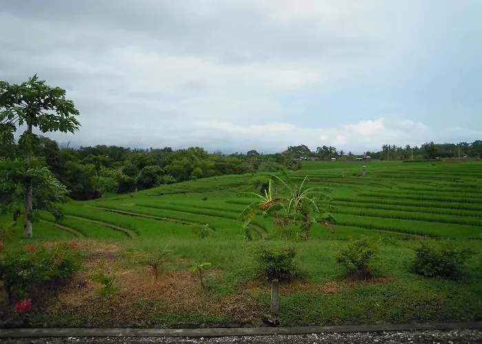 Bali Japan Village ホリデーパーク 2*